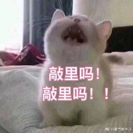 敲里lailai是什么意思？敲里lailai表情包無(wú)水印
