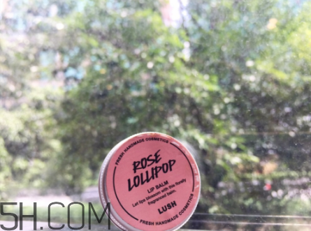 lush潤唇膏好用嗎？lush潤唇膏多少錢？