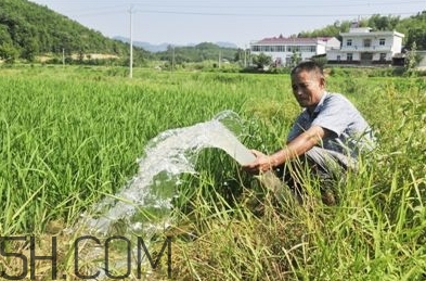 女生說(shuō)抽水什么意思？女生發(fā)消息想抽水什么意思？