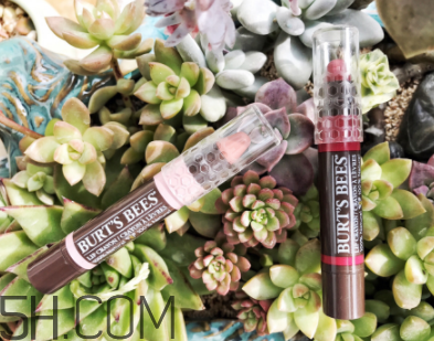 小蜜蜂唇膏筆多少錢？小蜜蜂唇膏筆很貴嗎？