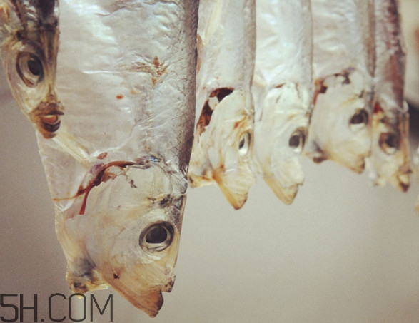 腌咸魚鹽和魚的比例是多少？咸魚一般腌多久才能曬