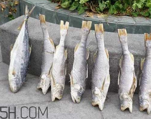 咸魚長毛還能吃嗎？怎樣辨別咸魚是否變質(zhì)