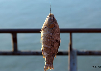 咸魚什么人不能吃？怎樣去除咸魚的咸