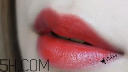 mac lady bug好看嗎？lady bug試色
