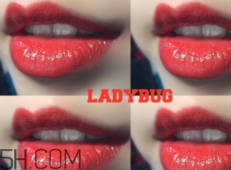 mac lady bug掉色嗎？mac ladybug真假辨別