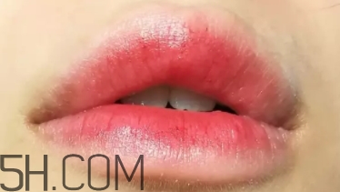 mac lady bug掉色嗎？mac ladybug真假辨別
