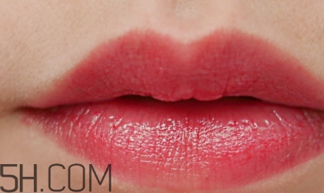mac ladybug和chili哪個(gè)好看_試色對比