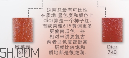 歐萊雅619和迪奧740像嗎？歐萊雅619秋葉和迪奧740對比