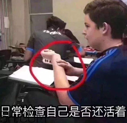 養(yǎng)生朋克什么意思？怎么做一個養(yǎng)生朋克？