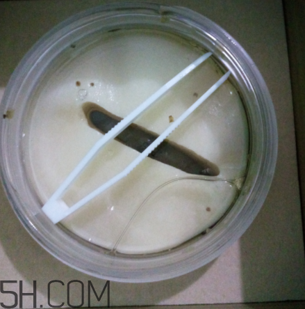 膜法世家金桂花眼膜怎么樣？膜法世家金桂花眼膜好用嗎？