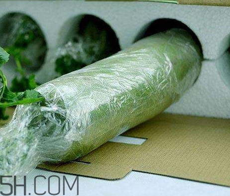如何鑒別真假沙窩蘿卜？沙窩蘿卜怎么區(qū)分好壞