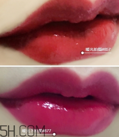 迪奧857和877哪個好看？迪奧857和877試色對比