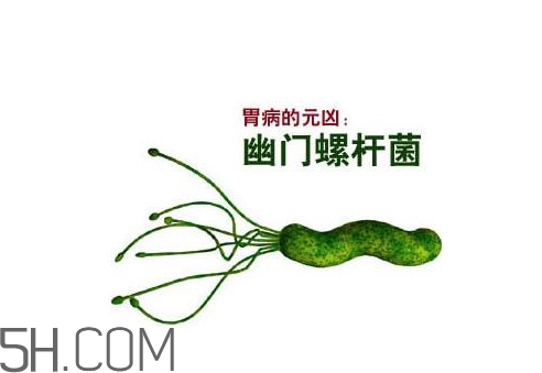 胃幽門(mén)螺旋菌陽(yáng)性怎么辦？幽門(mén)螺桿菌能徹底治愈嗎