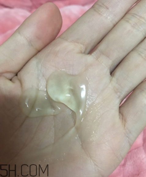 膜法世家仙人掌面膜怎么樣_多少錢(qián)
