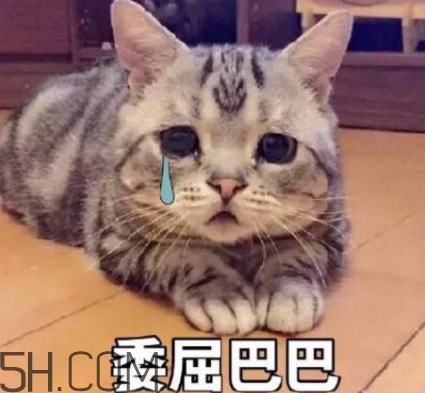 女生說我的胸好小什么意思？女生說我的胸好小怎么回復(fù)