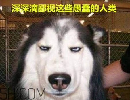 女生說我醉了什么意思？女生說喝多了怎么回復(fù)