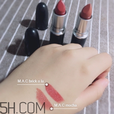 mac mocha和brick哪個好看？mac mocha和brick試色對比