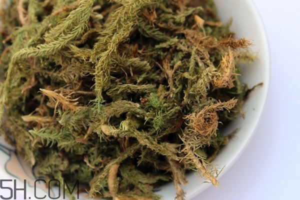 什么是伸筋草？伸筋草的功效與作用是什么？