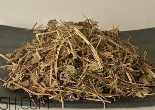 什么是透骨草？透骨草的功效與作用是什么？