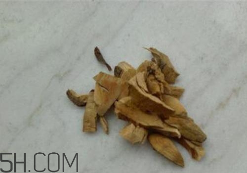 什么是丁公藤？丁公藤的功效與作用是什么？