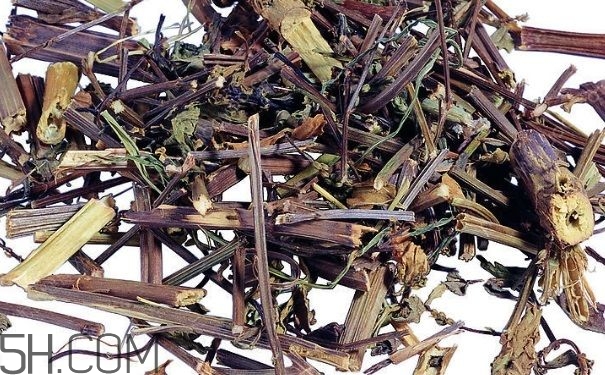 艾葉草洗澡有什么好處？怎么挑選艾葉草？