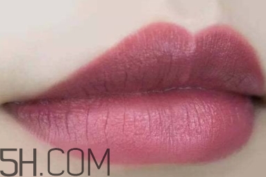 mac twig和brick o la一樣嗎？mac twig和brick o la試色對比