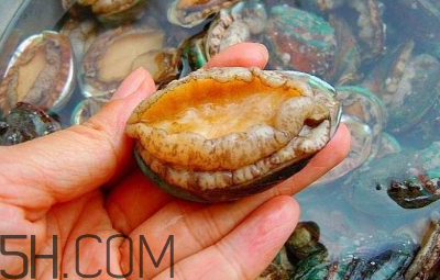 鮑魚(yú)怎么做好吃？吃鮑魚(yú)注意事項(xiàng)