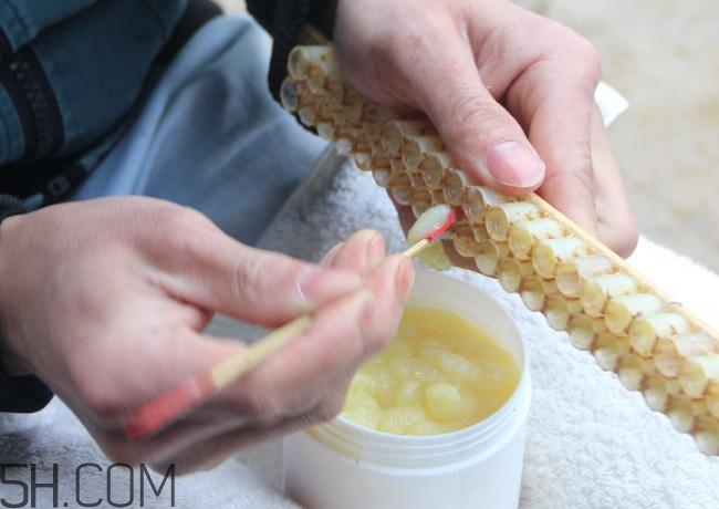 蜂王漿的營養(yǎng)成分有哪些？怎么辨別真假蜂王漿？