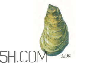 吃生蠔應(yīng)該注意哪些事項？生蠔與牡蠣的區(qū)別