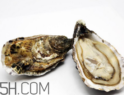 量吃生蠔有哪些好處？生蠔糖尿病人能吃嗎？