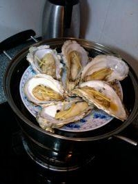 吃生蠔應(yīng)該注意哪些事項？生蠔與牡蠣的區(qū)別