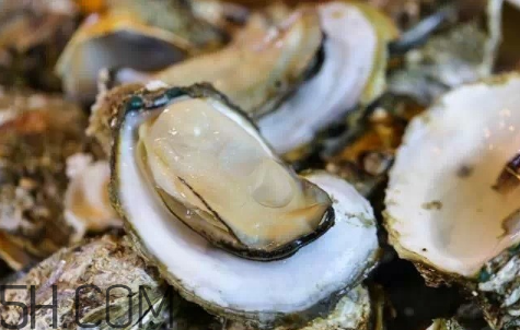 生蠔生吃好嗎？生蠔怎么吃最有營養(yǎng)？