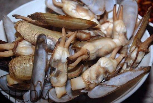 蟶子里面的黑色能吃嗎？蟶子為什么一撒鹽就出來(lái)？