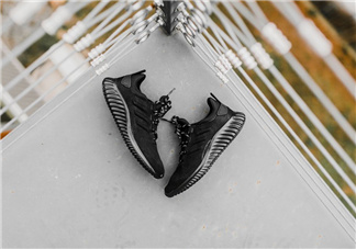 adidas alphabounce阿爾法小椰子皮質(zhì)版本什么時候發(fā)售？