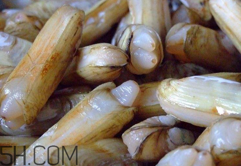 蟶子里面的黑色能吃嗎？蟶子為什么一撒鹽就出來(lái)？