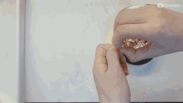 雅頓金膠怎么打開？雅頓金膠膠囊怎么扭開？