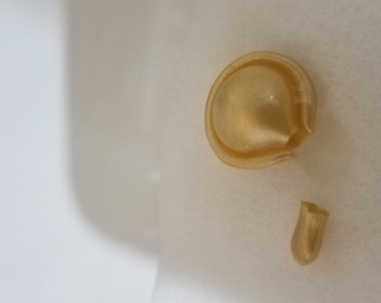 雅頓金膠怎么打開？雅頓金膠膠囊怎么扭開？