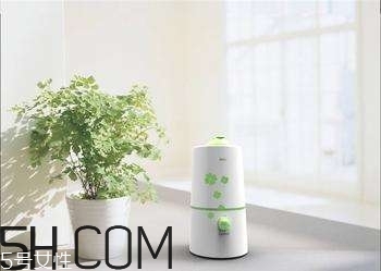 加濕器的使用誤區(qū)有哪些？加濕器的功能介紹
