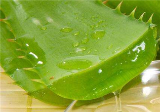 自然樂(lè)園蘆薈膠怎么用？自然樂(lè)園蘆薈膠使用方法