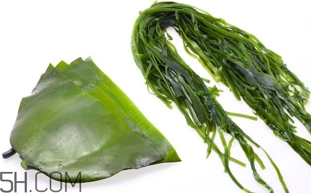 海帶的做法有哪些？怎么挑選優(yōu)質(zhì)海帶？