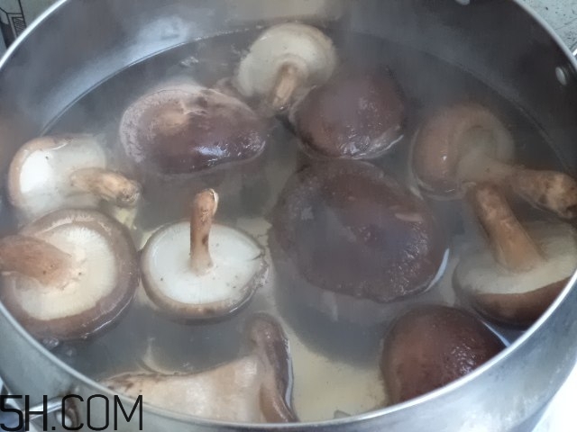 香菇和白蘿卜可以一起吃嗎？香菇和白蘿卜一起吃有什么好處？
