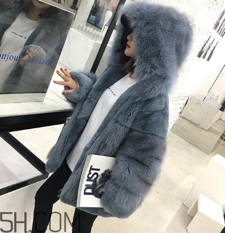 獺兔毛皮草一千元貴嗎？獺兔毛皮草2018年價格