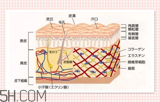 水光針可以祛斑嗎？涂抹式水光針的效果好嗎？