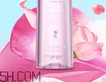 royvol萊茵是什么牌子？royvol萊茵是哪個國家的