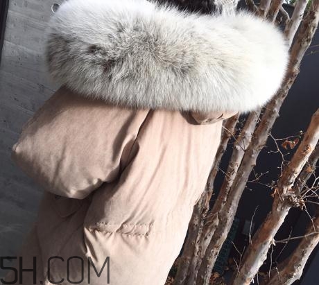 狐貍毛領怎么清洗？狐貍毛領可以用水洗嗎？