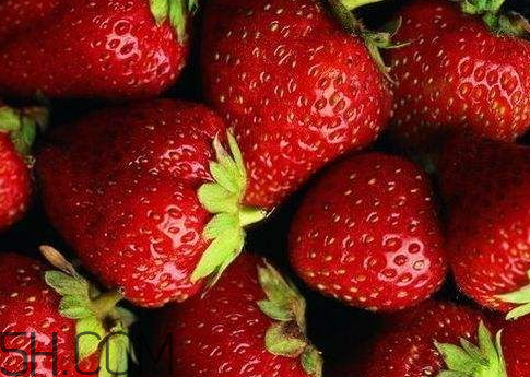 草莓多少錢(qián)一斤2018 2018年草莓價(jià)格行情怎么樣