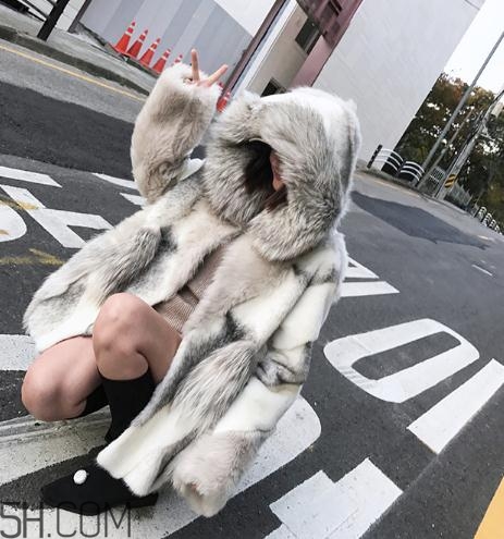十字貂和水貂哪個好？十字貂和水貂哪個貴？