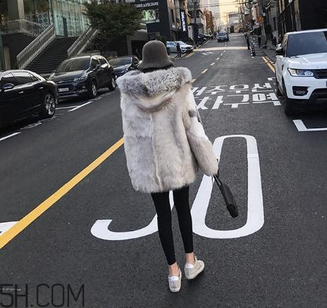 十字貂和水貂哪個好？十字貂和水貂哪個貴？