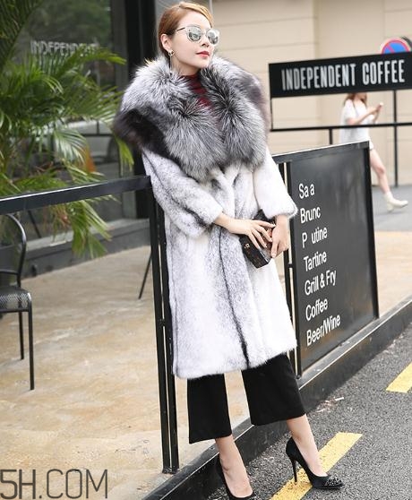 丹麥貂好還是美國貂好？丹麥貂和美國貂的區(qū)別