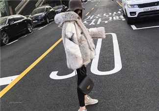 十字貂和水貂哪個好？十字貂和水貂哪個貴？